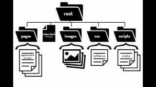 {Web-D 01} File and folder structure