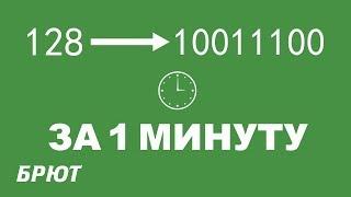 Перевод числа в двоичную систему за два шага!!!