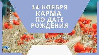 14 ноября - карма по дате рождения