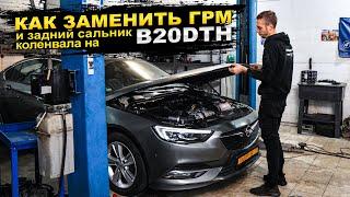 B20DTH — Замена ремня и цепи ГРМ, замена заднего сальника коленвала на Opel Insignia B