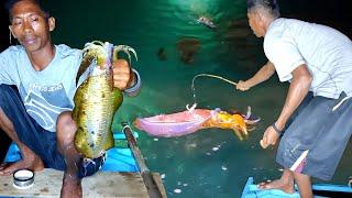 butuh Skill diatas rata² mancing Cumi Monster seperti ini, modal mata kail panen cumi-cumi