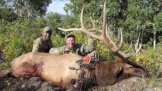 The Best Archery Elk Hunt You Will See - MossBack