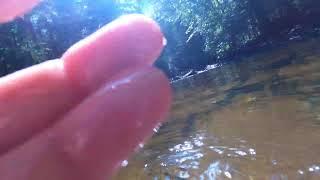 Lens Touching, Build Up, Water Sounds Underwater GoPro ASMR -  Holding Your Face