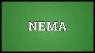 NEMA Meaning