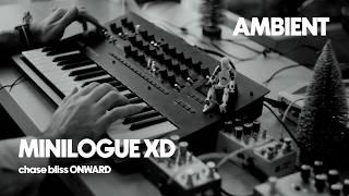 Korg Minilogue XD + Chase Bliss Audio ONWARD on synth | relaxing ambient music for stress relief