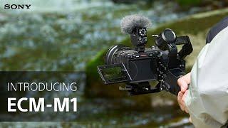 Introducing the Sony ECM-M1 Shotgun Microphone