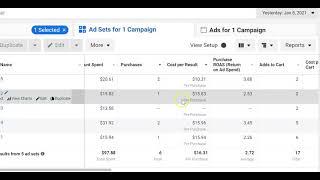 Facebook Ads Scaling Strategy 2021 - Should I Duplicate winning adset or double the budget?