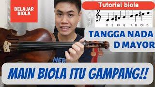 Belajar Biola, Tutorial Main Tangga Nada D Mayor dan nada di Biola dari 0 (LANGSUNG PAHAM)