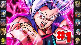 BEAST GOHAN UPDATE! TOP 10 LRS IN DOKKAN TIER LIST! FEBRUARY 2024! (DBZ: Dokkan Battle)