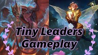 Ivy vs. Vadrok - Tiny Leaders Gameplay