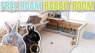 Free Roam Bunny Room Tour! 