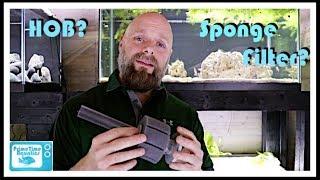 Fish Tank Filter Showdown! Sponge Filter vs. Hang on Back