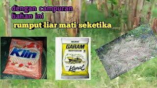 cara membasmi rumput liar dengan mudah