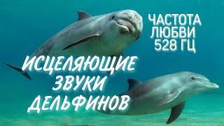 Исцеляющие звуки, голоса дельфинов, 528 Гц Частота Любви