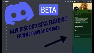 New Discord Beta Feature: Profile Display On a DM