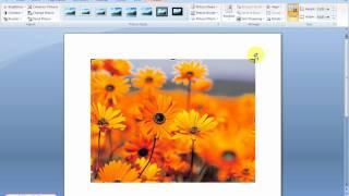 How to crop a picture? | Word 2007