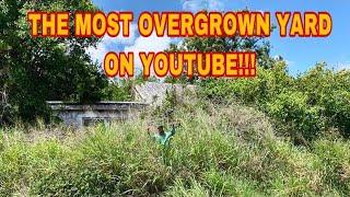 Cutting the WORST yard on YouTube! [Abandon house makeover for FREE]