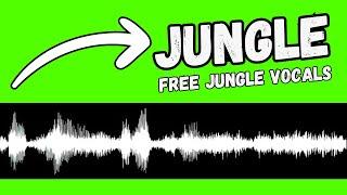 FREE jungle Vocal Samples || BY BLU MAR TEN || PROVIDED BY SOUNDPACKS