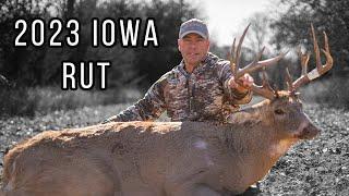 Toughest Deer Season To Date: David's 2023 Whitetail | Iowa Whitetail Rut | Mature Whitetails