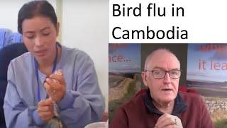 Bird flu in Cambodia