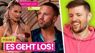 HIER finden ALLE die große Liebe...  | Bachelor in Paradise (Folge 1 Reaktion)