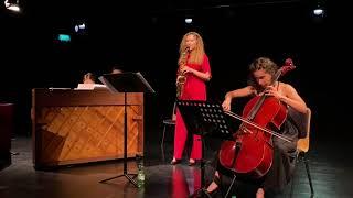 "aStella Trio":Astor Piazzolla- The Four Seasons of Buenos Aires