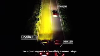 Halogen vs Stock LED vs Boslla Chameleon Lights, Which is Your Choice?