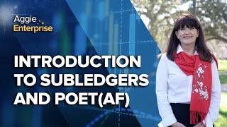 Introduction to Subledgers