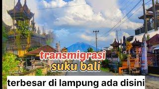 #viral kampung transmigrasi  bali terbesar di lampung, dan disini hidup makmur.