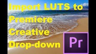 How to import LUTs to the Adobe Premiere Creative Tap-Down (Convert .Cube to .Look)