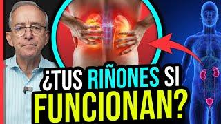  TUS RIÑONES SI FUNCIONAN ? Recomendaciones Para Cuidarlos - Oswaldo Restrepo RSC