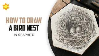 How to draw a bird nest