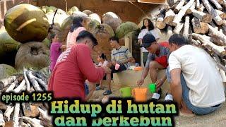 gotong royong persiapan pernikahan anak bang deri di desa warta petani muda hidup di hutan