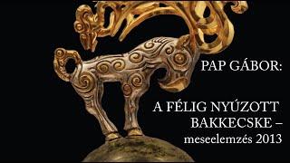 PAP GÁBOR – A FÉLIG NYÚZOTT BAKKECSKE – meseelemzés, 2013