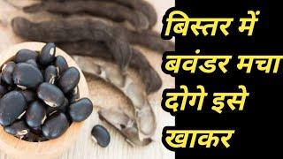 कौंच बीज के फायदे और नुकसान | kaunch beej churna | konch beej ke fayde