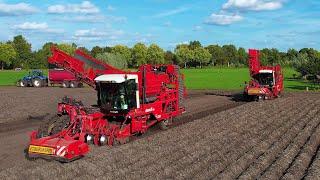 Aardappels rooien & inschuren | Potato harvest | Kartoffelernte | 2 x Dewulf | New Holland | Krampe