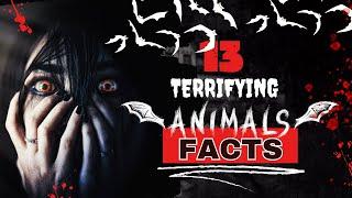 Shocking Facts About Nature's Creatures