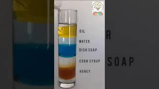 The Density of Different Liquids a fun science experiment that deals with density of various objects