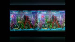 Finding Nemo Disc 2 Virtual Aquarium Screen Difference (Read Description)