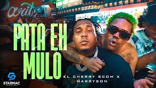 El Cherry Scom x Harryson -  Pata Eh Mulo (Video Oficial)