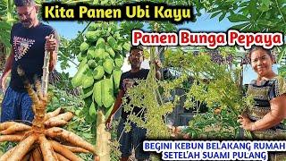 SETELAH SUAMI PULANG BEGINI KEADAAN KEBUN DI BELAKANG RUMAH KITA