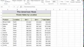 Excel Print Titles