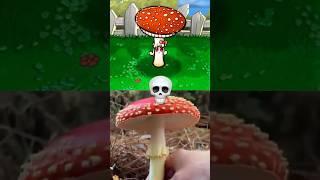 The Fly Agaric  (PVZ) #pvz #plantsvszombies