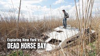 Dead Horse Bay - A scavenger's dream