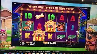 THE DOG HOUSE NICE WIN ? Pragmatic slots VIDEOSLOTS