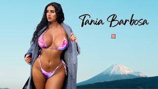 Tania Barbosa:  Bbw Haul | Instagram Beauty | Content Creator's Wiki