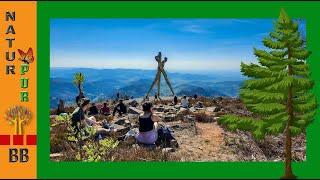 Wandern im Schwarzwald zum Mooskopf