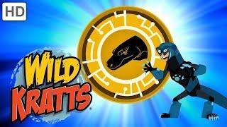 Wild Kratts  Incredible Creatures! (Part 4)  Kids Videos