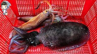 Assorted Seafood Sashimi Songdo Fish Market Pohang Korea 포항 송도 활어회센터 해물모듬회 10 etc