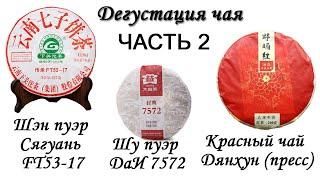 Часть 2. Обзор чая: Шен пуэр Сягуань FT53-17, Шу пуэр ДаИ 7572, Прессованный Дянхун